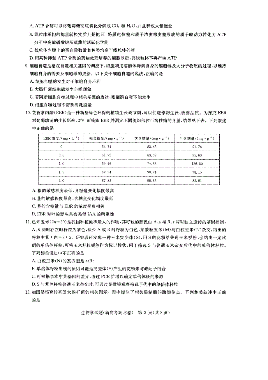 湖北省华大新高考联盟2022届高三上学期11月联考生物试题 PDF版含答案.pdf_第3页