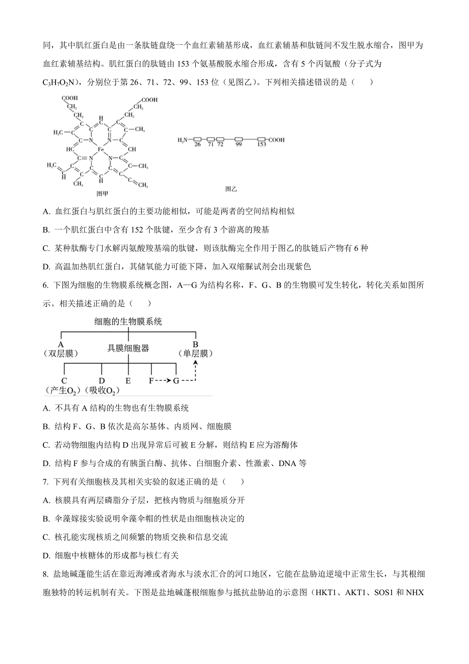 湖北省宜城一中、枣阳一中等六校联考2022-2023学年高三上学期期中考试生物试题 WORD版含答案.docx_第2页