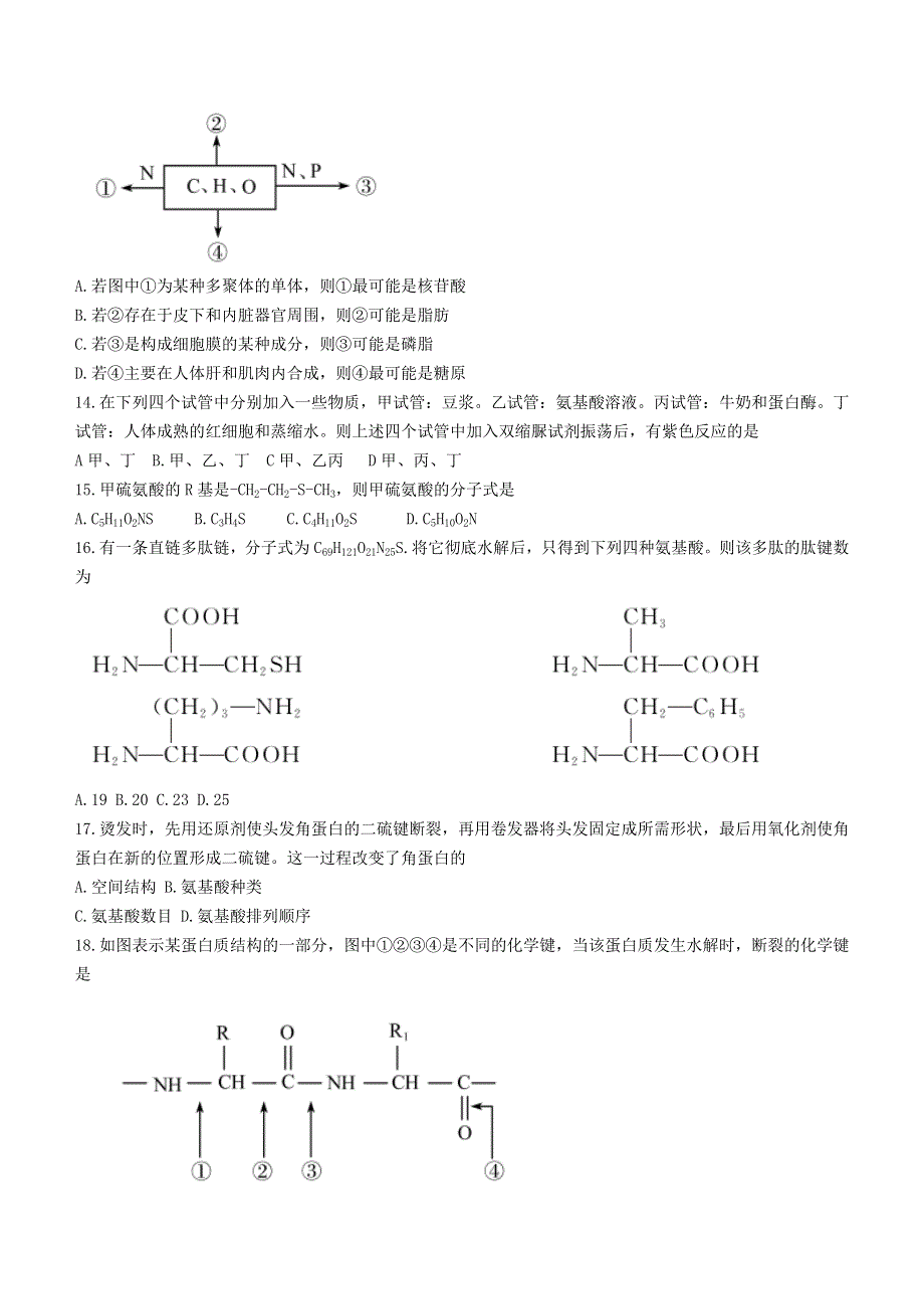 甘肃省张掖市某重点校2021-2022学年高一上学期期中生物试题 WORD版含答案.docx_第3页