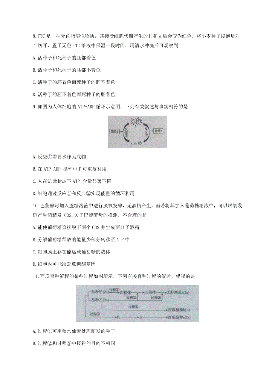 浙江省台州市2020-2021学年高二生物上学期期末考试试题.doc_第3页