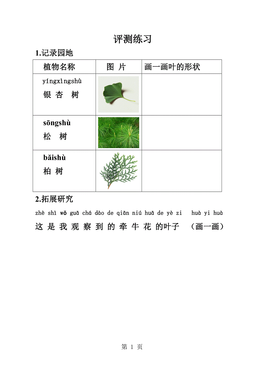 10.看叶认植物测试.doc_第1页