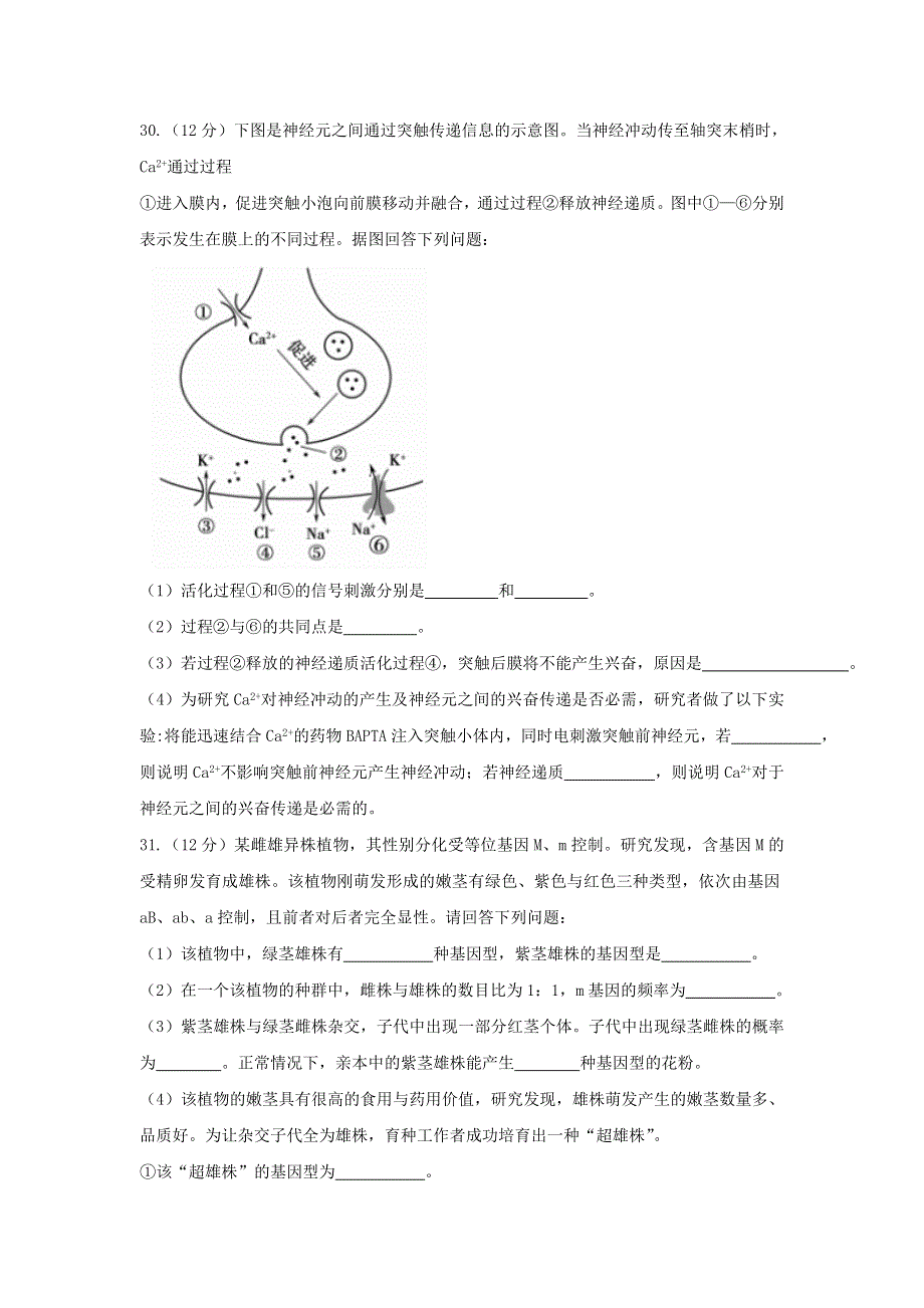 河北省武邑中学2018届高三上学期期末考试理科综合生物试题 WORD版含答案.doc_第3页