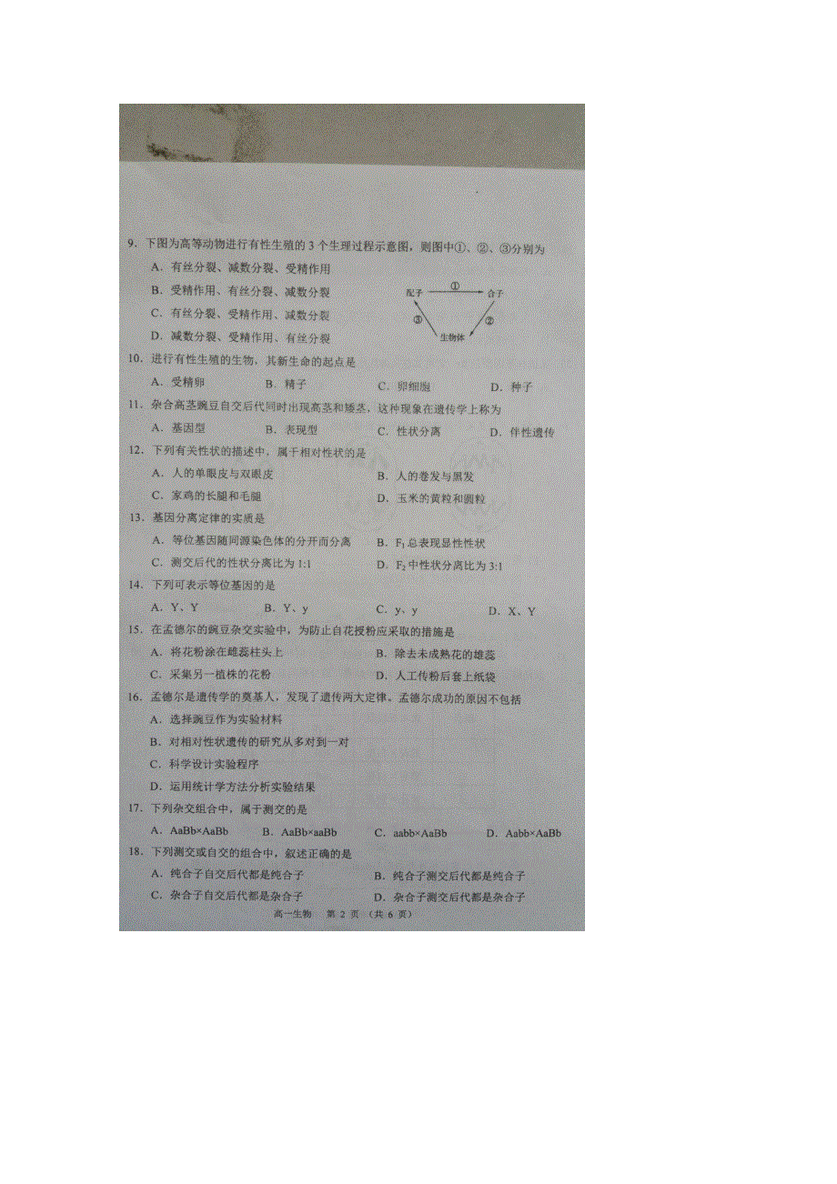 江苏省沭阳县2015-2016学年高一下学期期中调研测试生物试题 扫描版含答案.doc_第2页