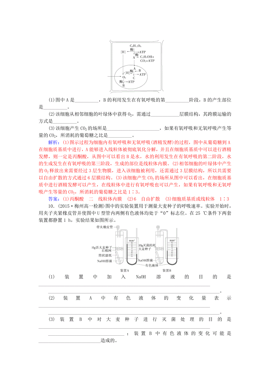 2015-2016学年高一生物知能提升训练：5.3.2《ATP的主要来源-细胞呼吸》（新人教版必修1） WORD版含解析.doc_第3页