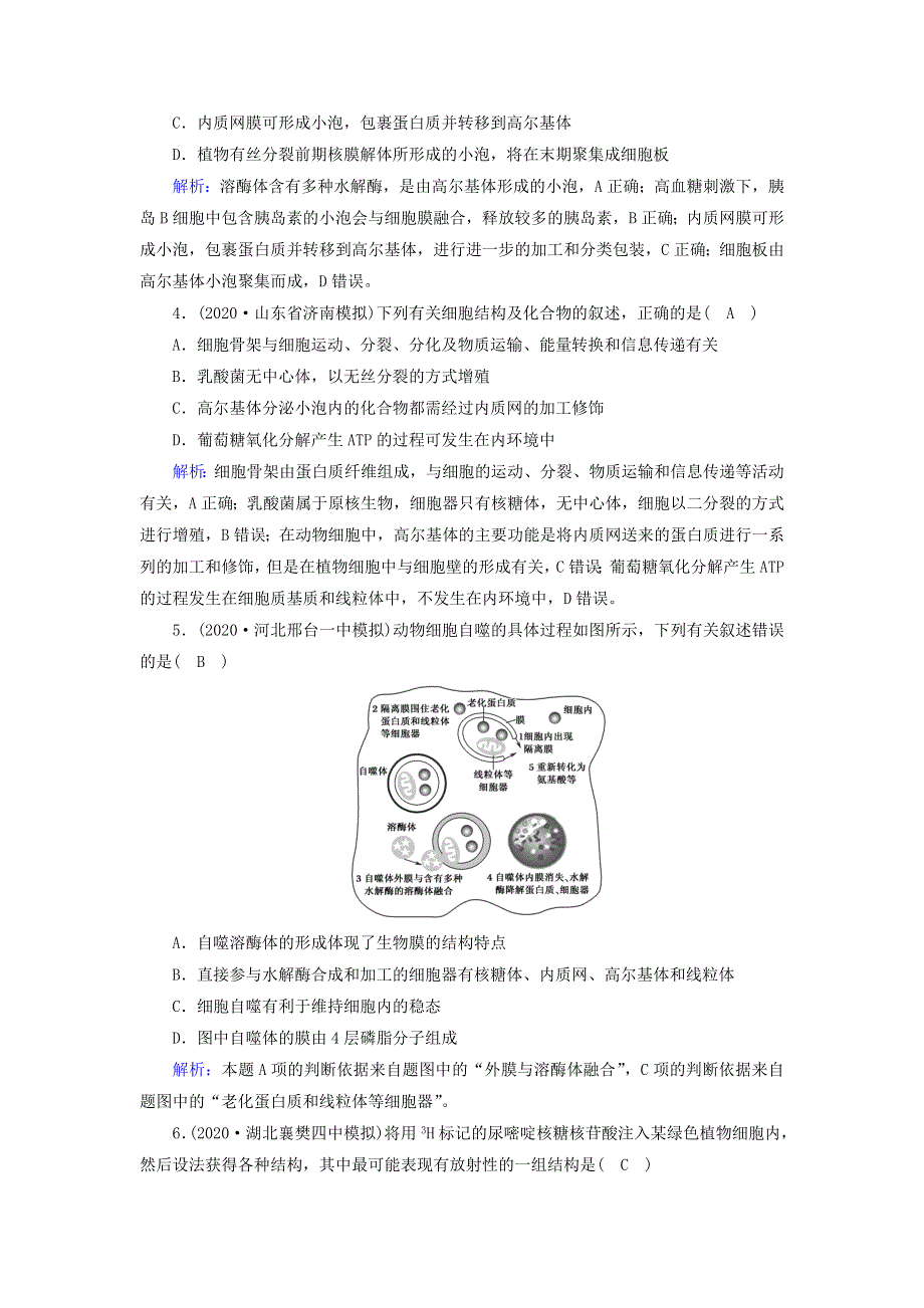 （山东专用）2021高考生物一轮复习 第二单元 细胞的结构和物质的输入和输出 第6讲 细胞器与生物膜系统课时作业（含解析）.doc_第2页