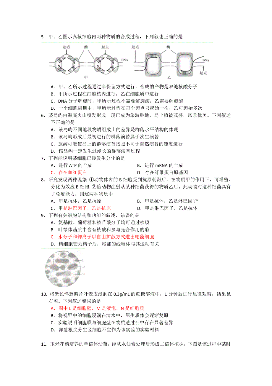 浙江省天台县育青中学2013届高三暑假入学考试考试生物试题.doc_第2页