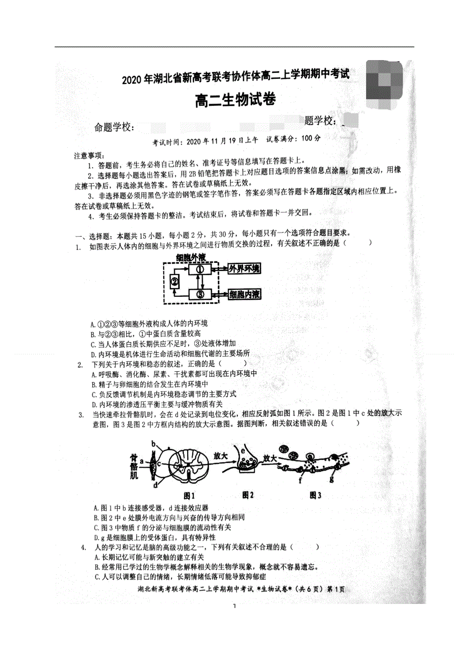 湖北省新高考联考协作体2020-2021学年高二上学期期中考试生物试题 扫描版含答案.doc_第1页