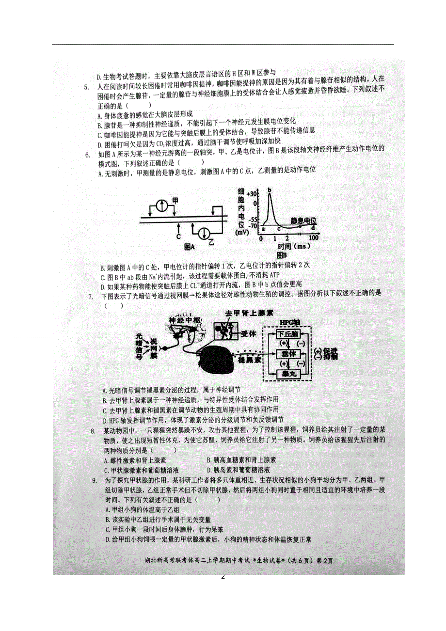 湖北省新高考联考协作体2020-2021学年高二上学期期中考试生物试题 扫描版含答案.doc_第2页