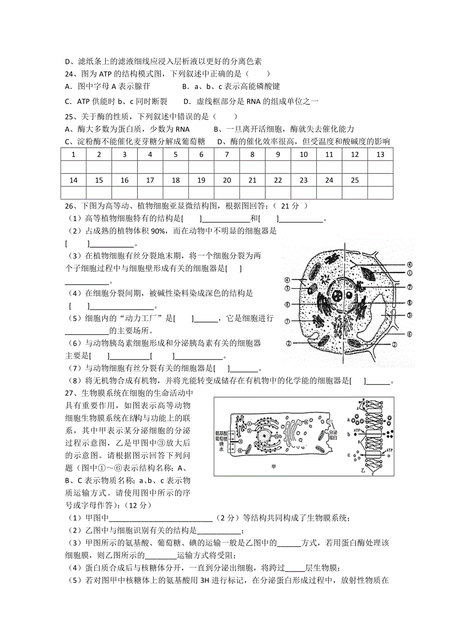 甘肃省靖远县第四中学2019-2020学年高一下学期期中考试生物（普通班）试题 WORD版缺答案.doc_第3页