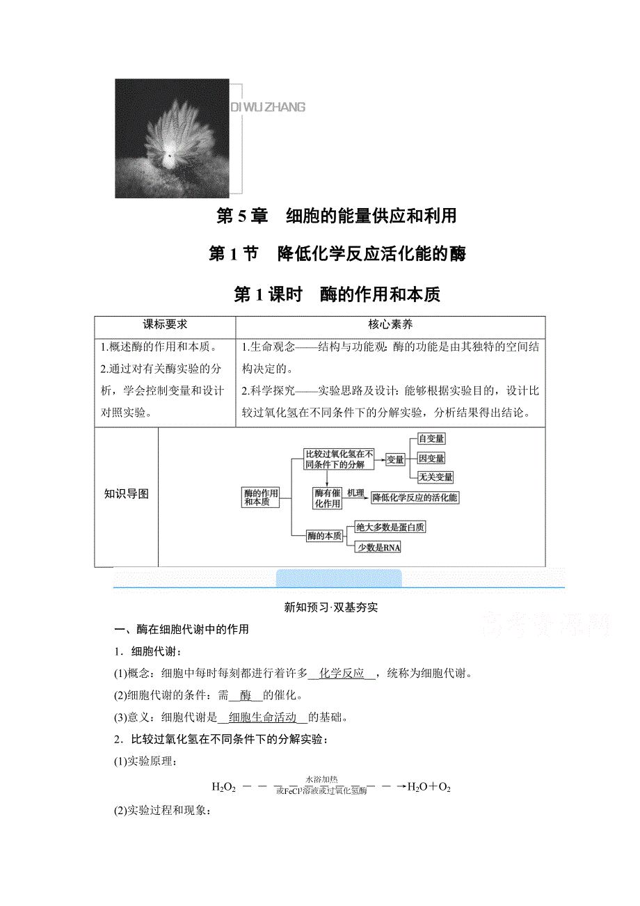 2020-2021学年高中生物新教材人教版必修1学案：第5章 第1节 第1课时　酶的作用和本质 WORD版含解析.doc_第1页