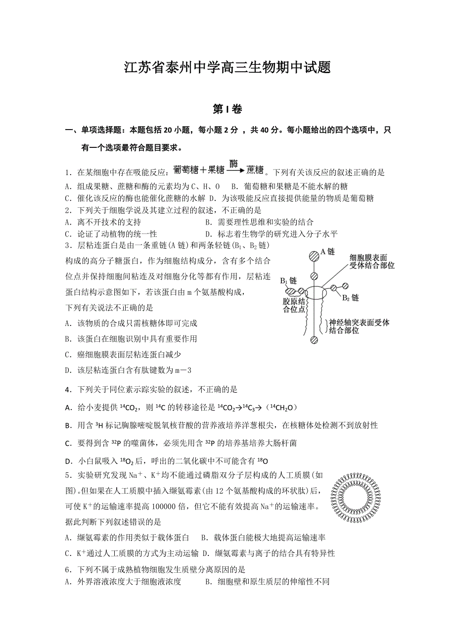 江苏省泰州中学2013届高三上学期期中考试 生物.doc_第1页