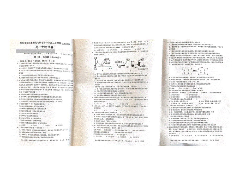 湖北省新高考联考协作体2021-2022学年高二上学期起点考试生物试题 图片版含答案.pdf_第1页