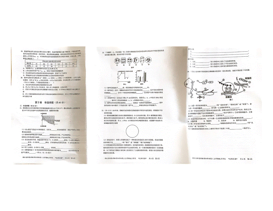 湖北省新高考联考协作体2021-2022学年高二上学期起点考试生物试题 图片版含答案.pdf_第2页