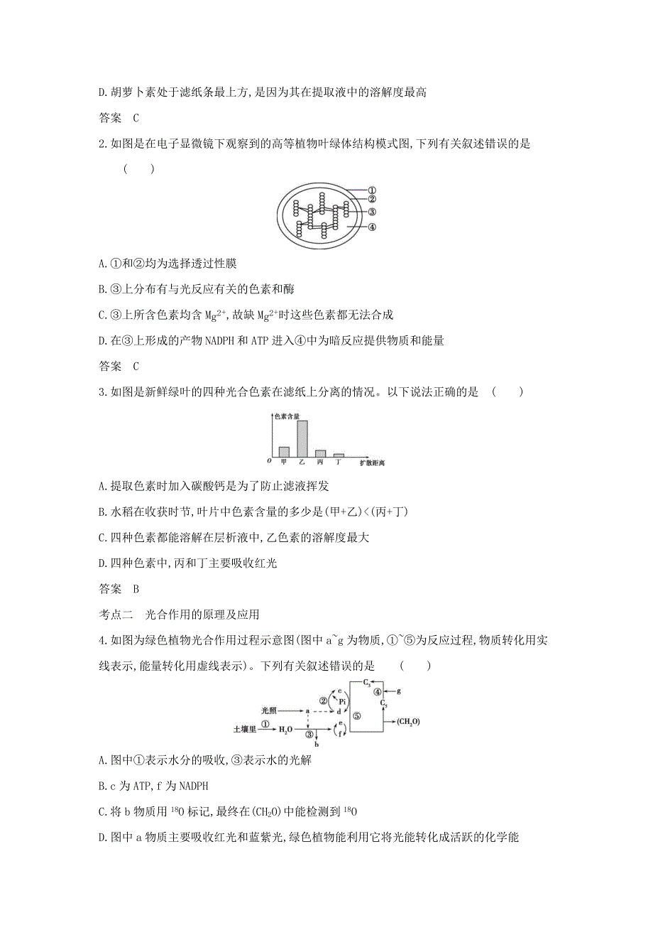 （山东专用）2022年高考生物一轮复习 专题6 光合作用—基础集训（含解析）.docx_第3页