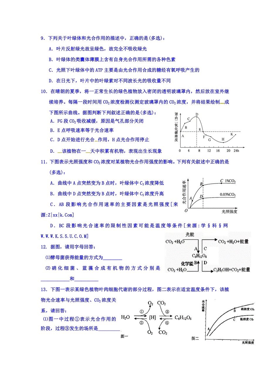 河北省涞水波峰中学人教版高中生物必修一5-4能量之源——光与光合作用（第三课时） 限时练B WORD版缺答案.doc_第2页