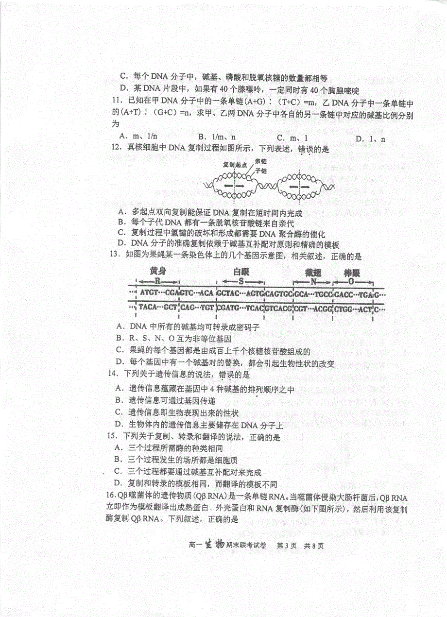 江苏省泰州中学2019-2020学年高一6月调研测试生物试题 扫描版含答案.pdf_第3页