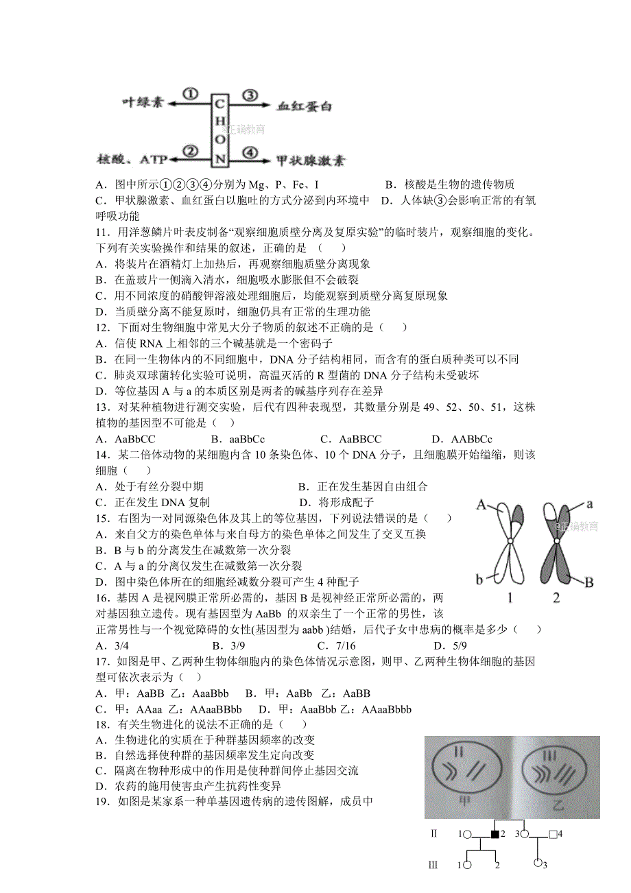 河北省深州中学2016-2017学年高二下学期期末考试生物试卷 WORD版含答案.doc_第2页