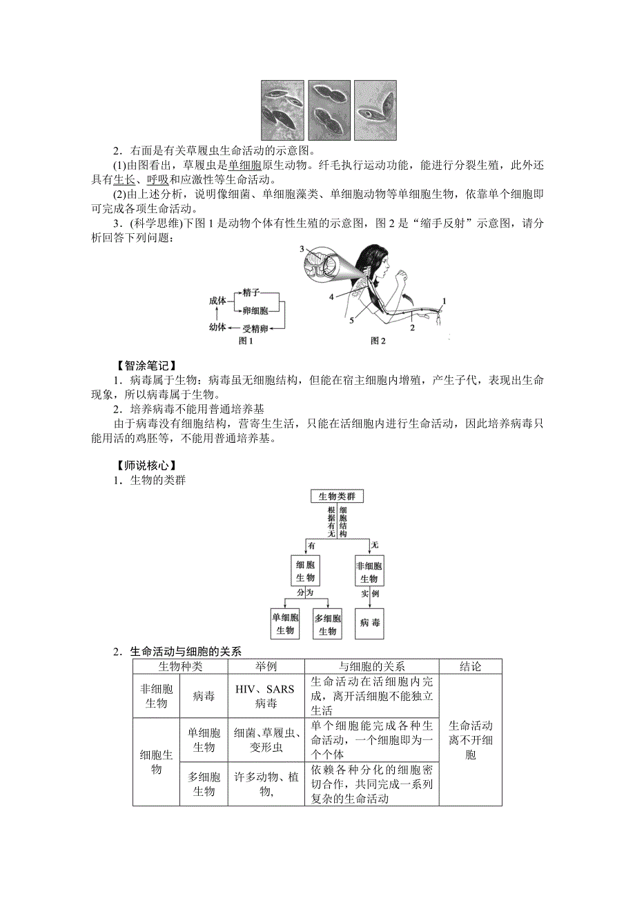 2019-2020学年高中生物人教版必修1学案：1-1 从生物圈到细胞 WORD版含解析.doc_第3页