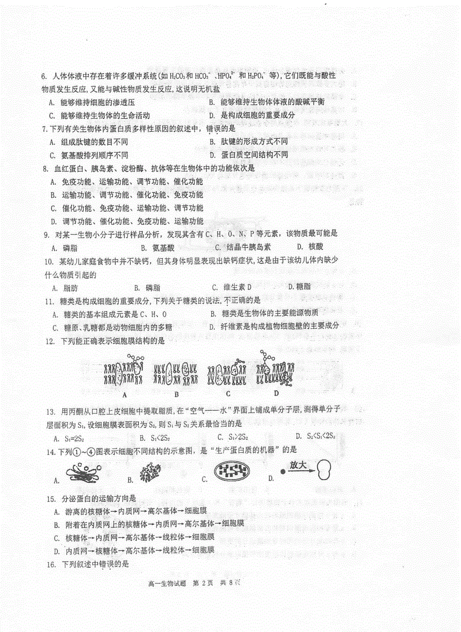 江苏省泰州中学2020-2021学年高一生物上学期期末考试试题（PDF）.pdf_第2页