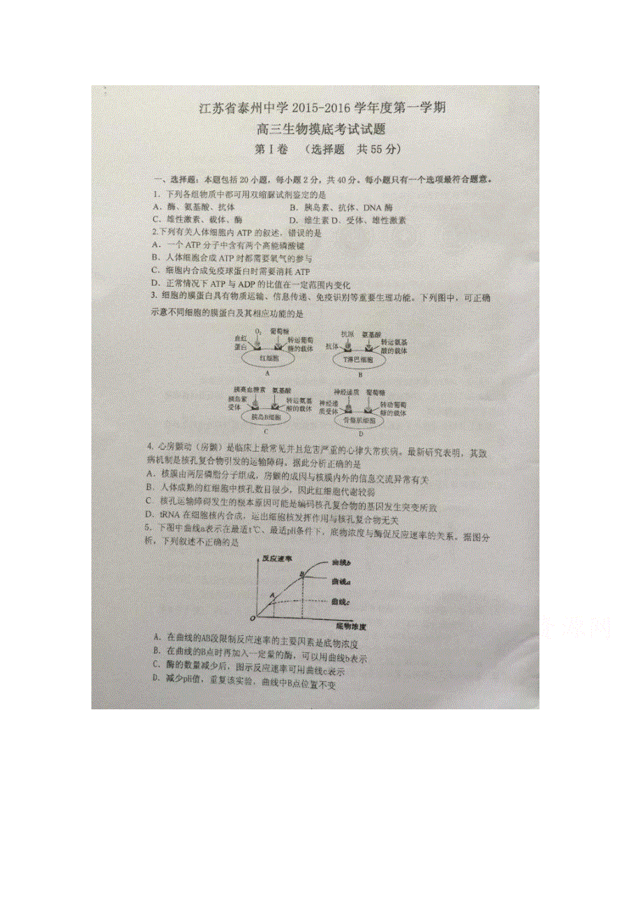 江苏省泰州中学2016届高三上学期摸底考试生物试题 扫描版含答案.doc_第1页