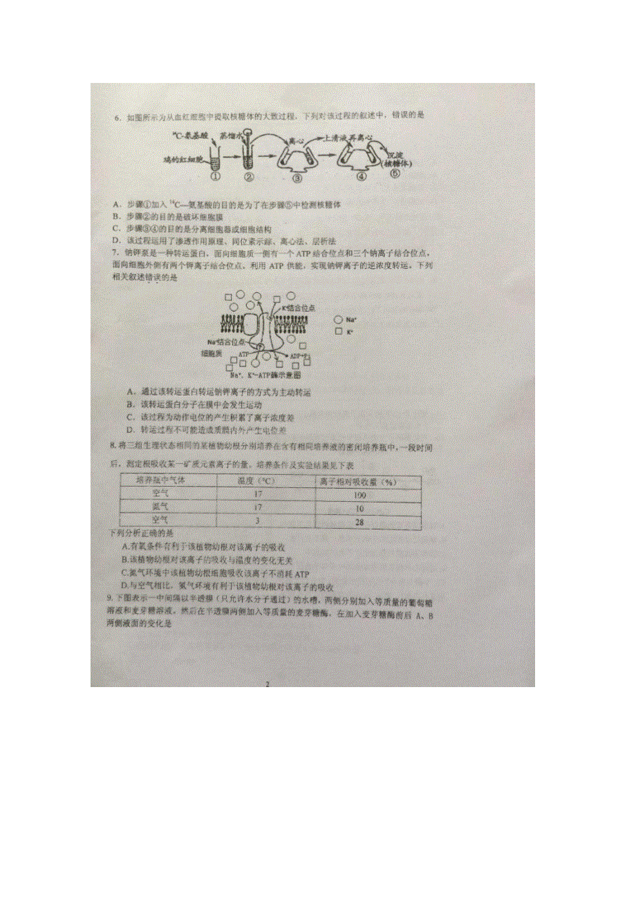 江苏省泰州中学2016届高三上学期摸底考试生物试题 扫描版含答案.doc_第2页