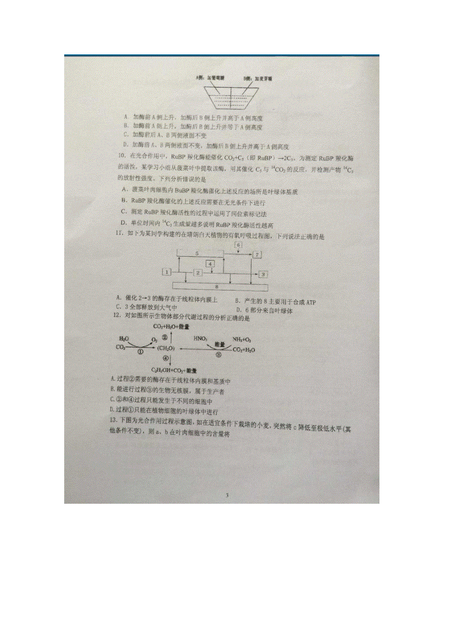 江苏省泰州中学2016届高三上学期摸底考试生物试题 扫描版含答案.doc_第3页