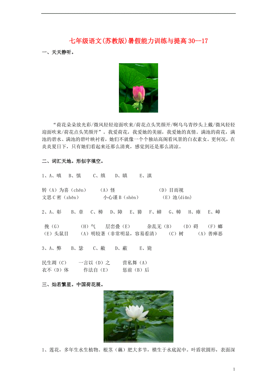 七年级语文 暑假能力训练与提高30--17 苏教版.doc_第1页