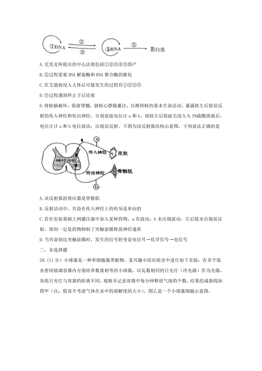 河北省石家庄二中2017届高三下学期第七期联考理科综合生物试题 WORD版缺答案.doc_第2页