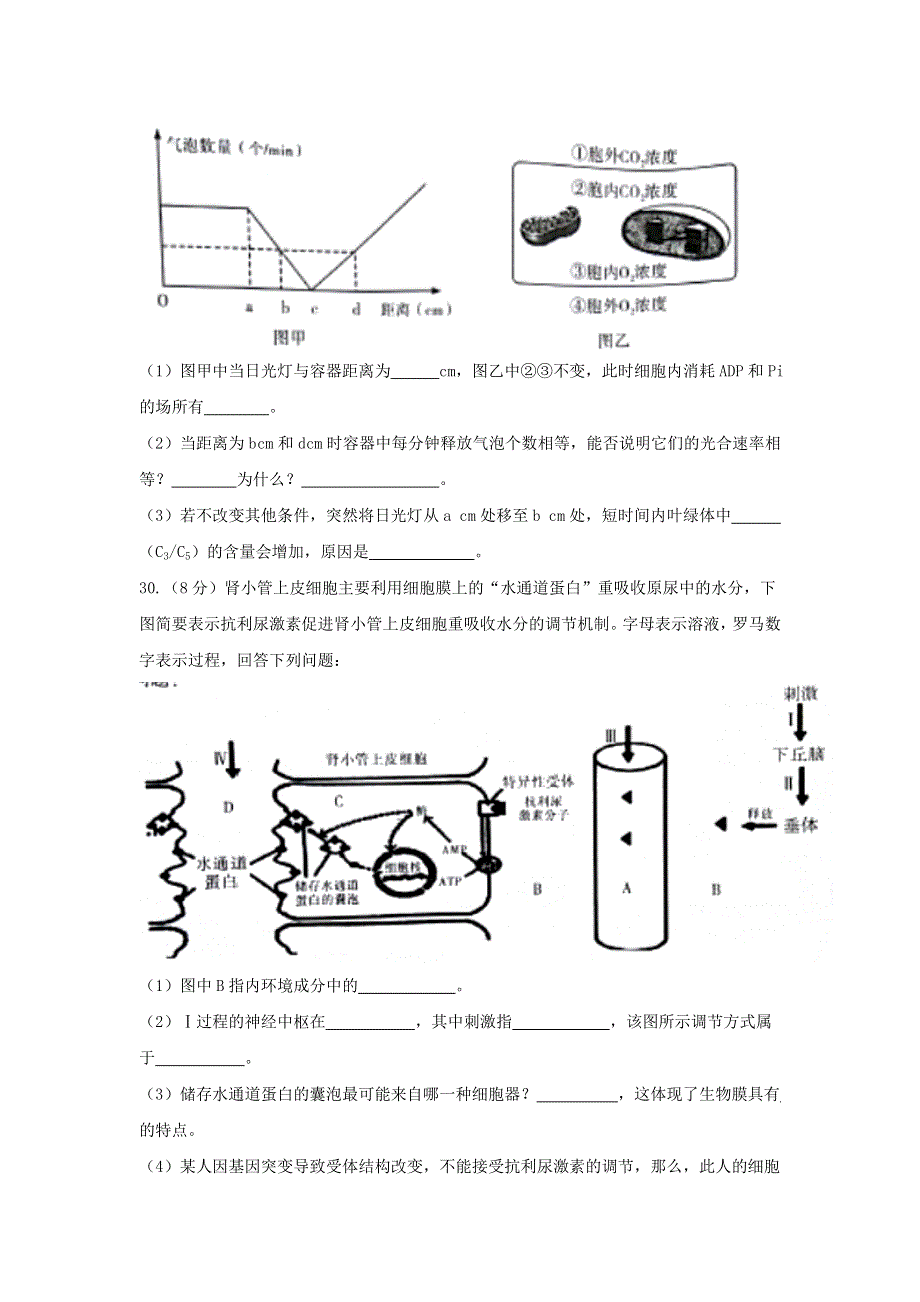 河北省石家庄二中2017届高三下学期第七期联考理科综合生物试题 WORD版缺答案.doc_第3页