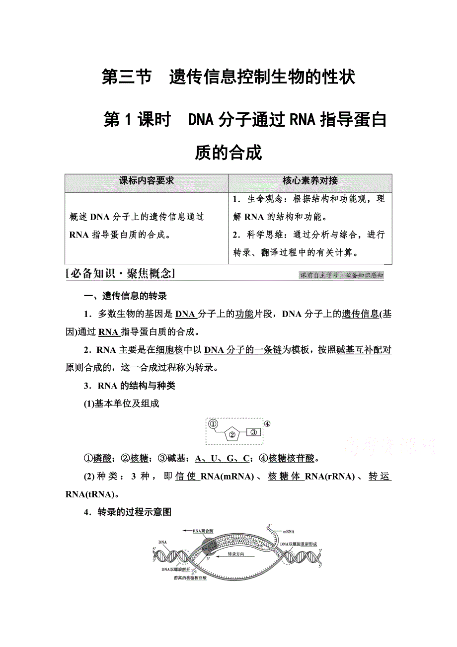 2021-2022学年高中新教材苏教版生物必修2学案：第2章 第3节 第1课时　DNA分子通过RNA指导蛋白质的合成 WORD版含解析.doc_第1页