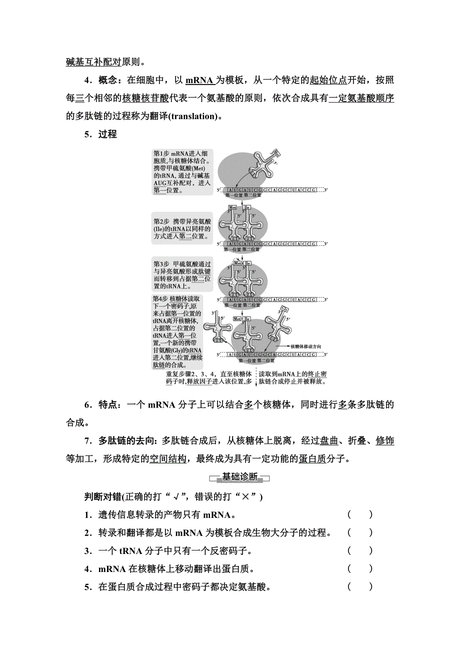 2021-2022学年高中新教材苏教版生物必修2学案：第2章 第3节 第1课时　DNA分子通过RNA指导蛋白质的合成 WORD版含解析.doc_第3页