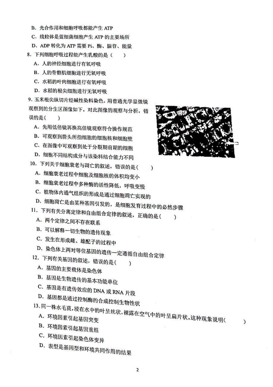 浙江省宁波市慈溪市2020-2021学年高一下学期期末考试生物试题 图片版含答案.pdf_第2页