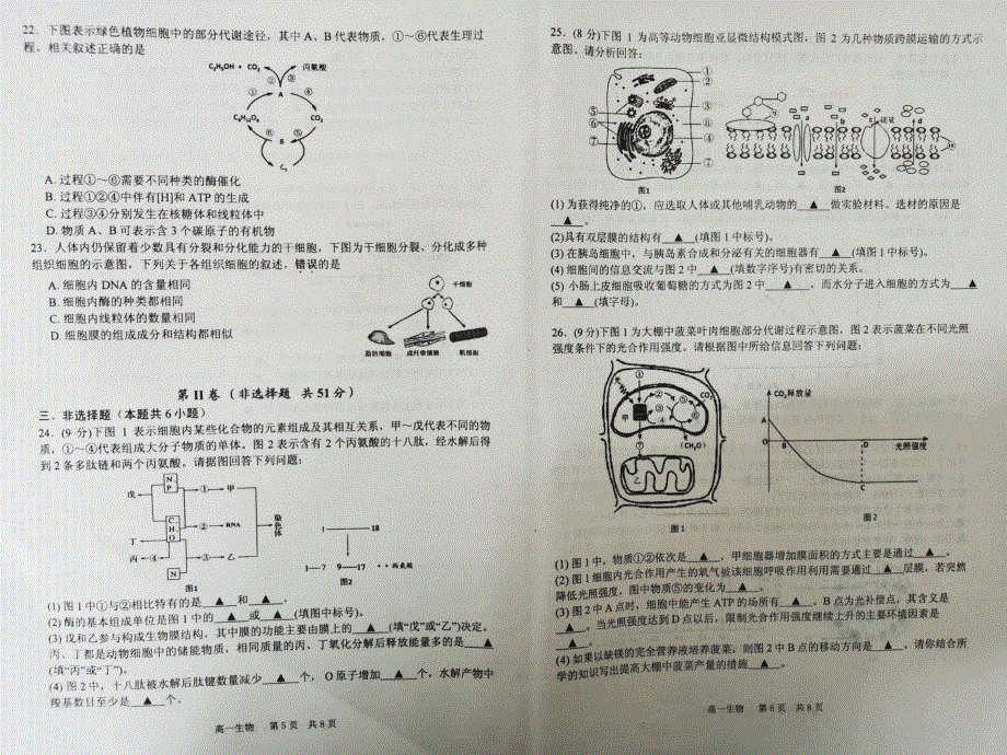 江苏省泰州市姜堰区2019-2020学年高一上学期期末考试生物试题 PDF版缺答案.pdf_第3页