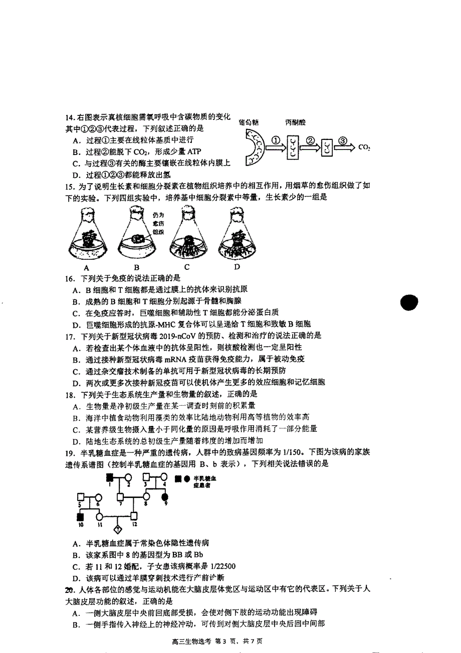 浙江省宁波市镇海中学2021届高三上学期选考适应性测试生物试题 图片版缺答案.pdf_第3页