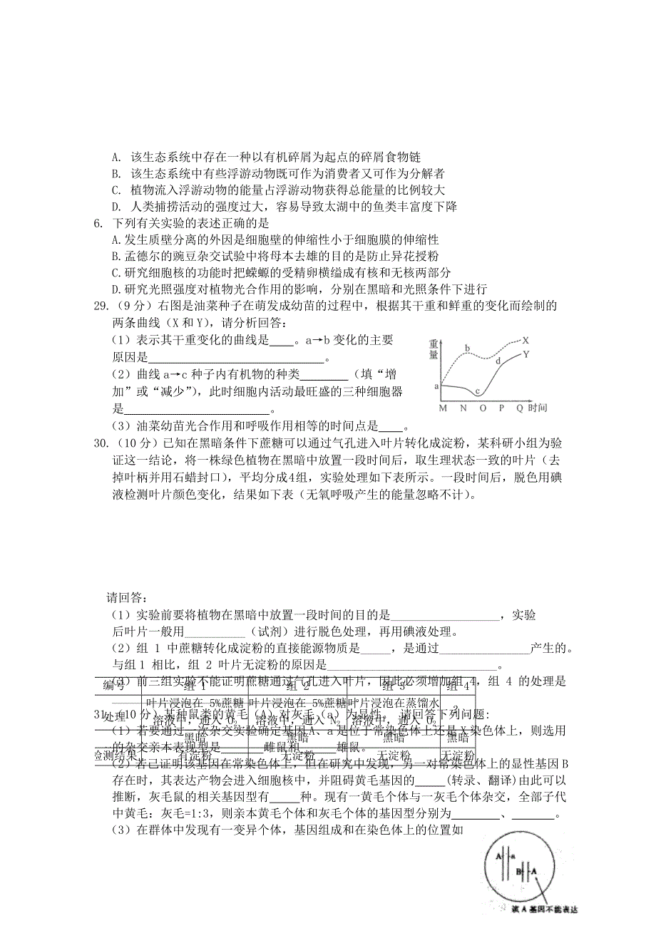 湖北省武汉市新洲一中2015届高三“211”模拟测试（五）生物试题 WORD版含答案.doc_第2页