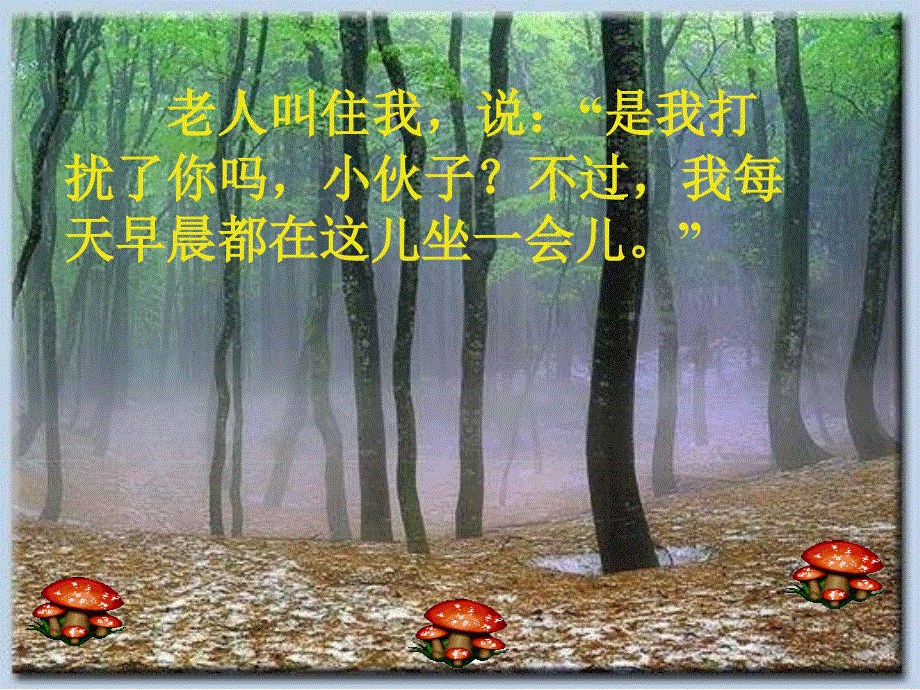 六年级上语文课件-唯一的听众_北师大版.ppt_第3页