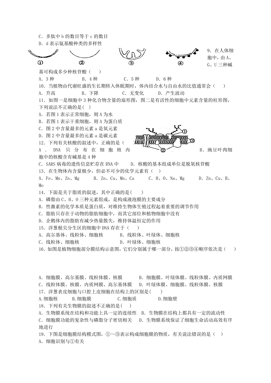 河北省石家庄市第二实验中学2014-2015学年高一上学期第四次月考生物试题 WORD版含答案.doc_第2页