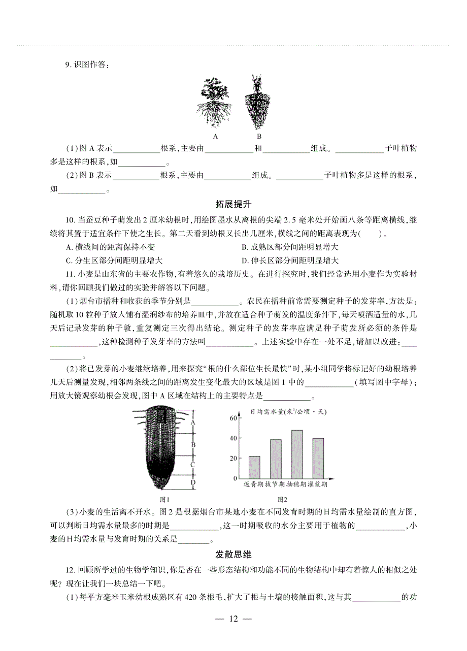 八年级生物上册 第四单元 物种的延续 第一章 绿色开花植物的一生 第五节 根的结构与功能同步作业（pdf无答案）（新版）济南版.pdf_第2页