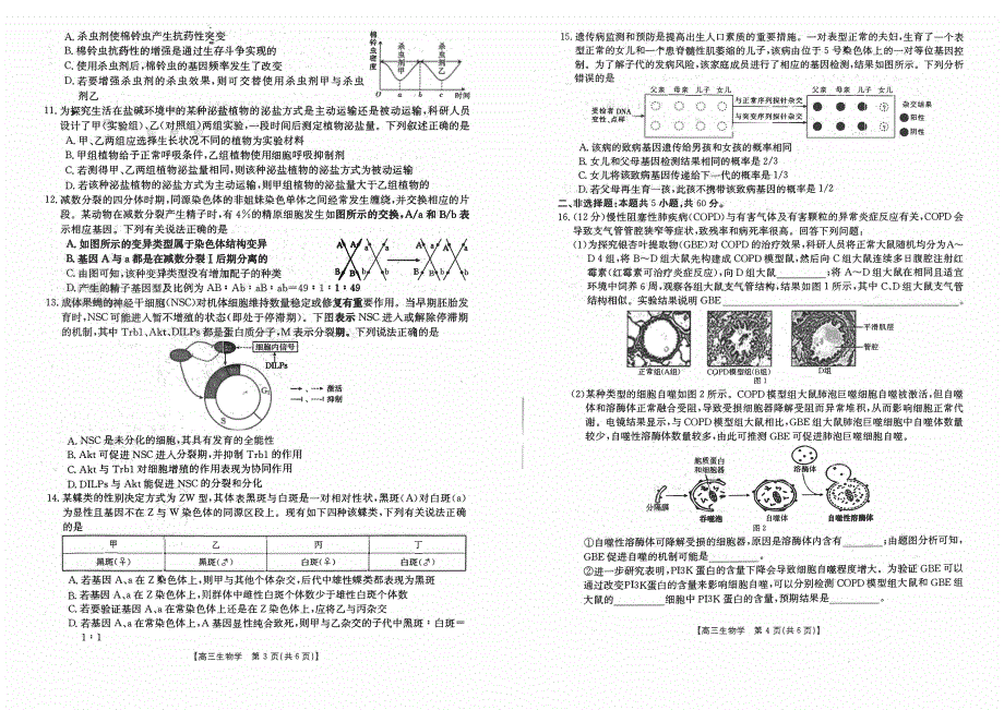 福建省宁德2023-2024高三生物上学期期中质量检测试题(pdf).pdf_第2页