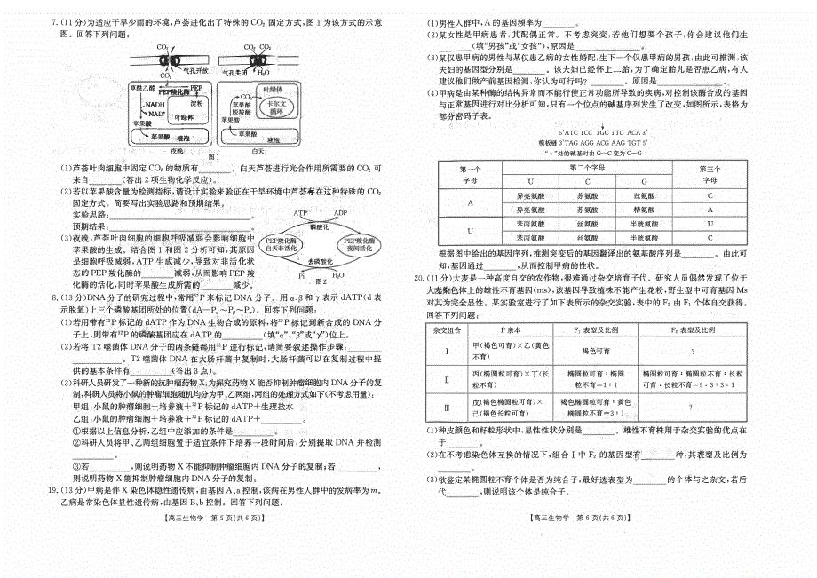 福建省宁德2023-2024高三生物上学期期中质量检测试题(pdf).pdf_第3页