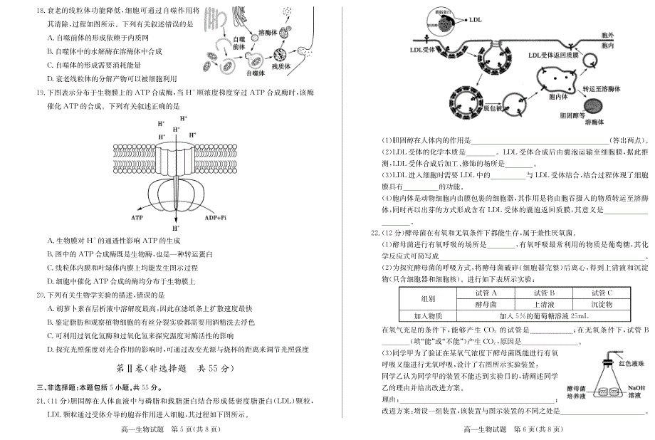 山东省德州市2020-2021学年高一上学期期末考试生物试卷 PDF版含答案.pdf_第3页