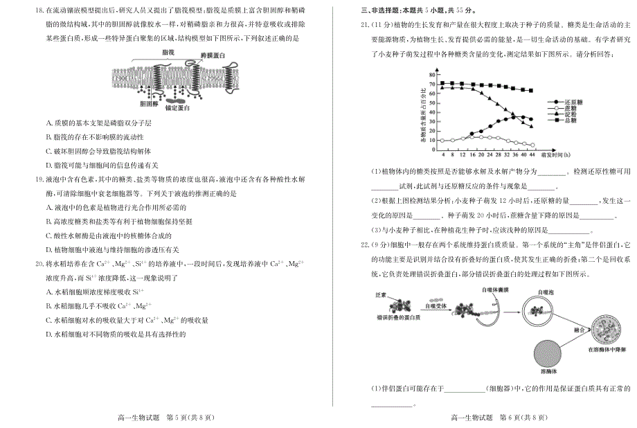 山东省德州市2020-2021学年高一上学期期中考试生物试题（可编辑） PDF版含答案.pdf_第3页