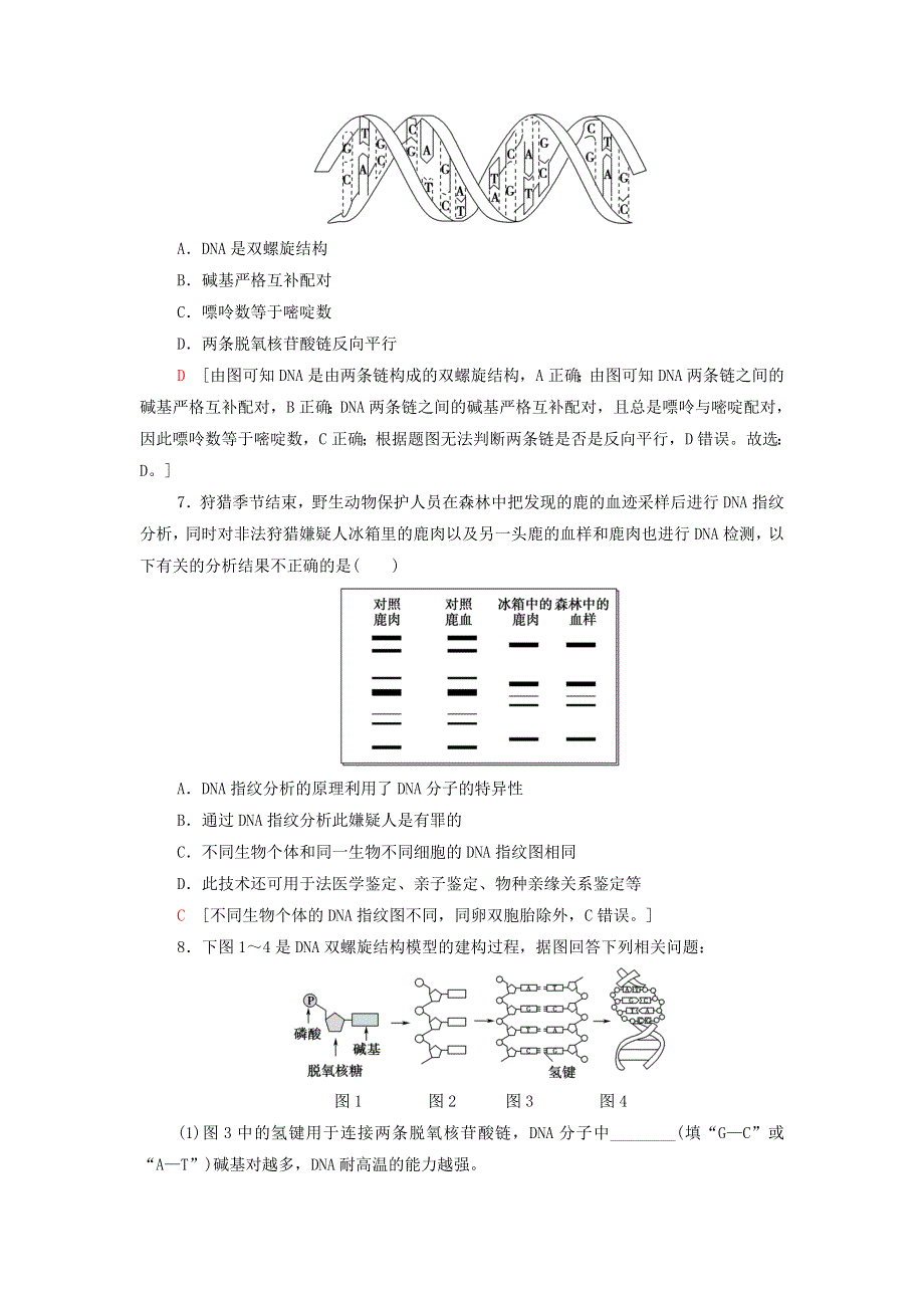 2021-2022年新教材高中生物 课后练习10 DNA的结构（含解析）新人教版必修2.doc_第3页