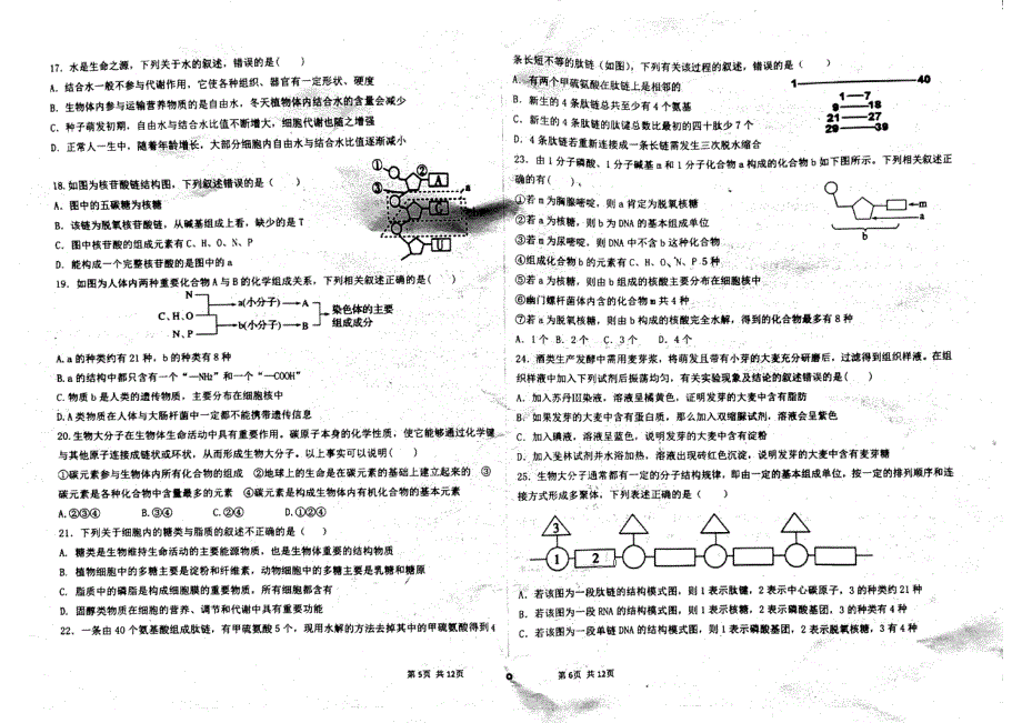 山东省德州市临邑县第一中学2021-2022学年高一10月月考生物试题 PDF版含答案.pdf_第3页