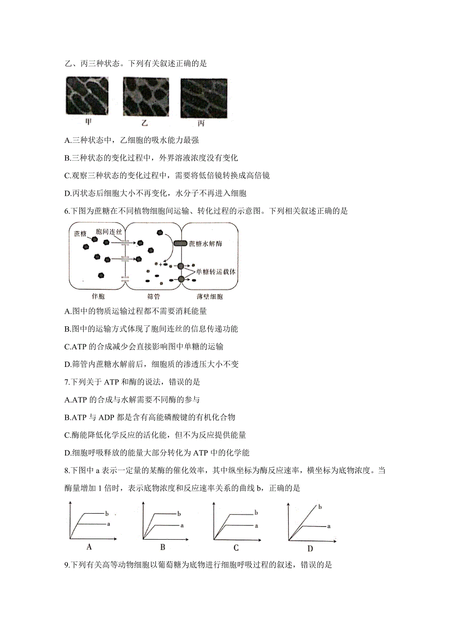 河北省邢台市2020届高三上学期第四次月考试题 生物 WORD版含答案BYCHUN.doc_第2页