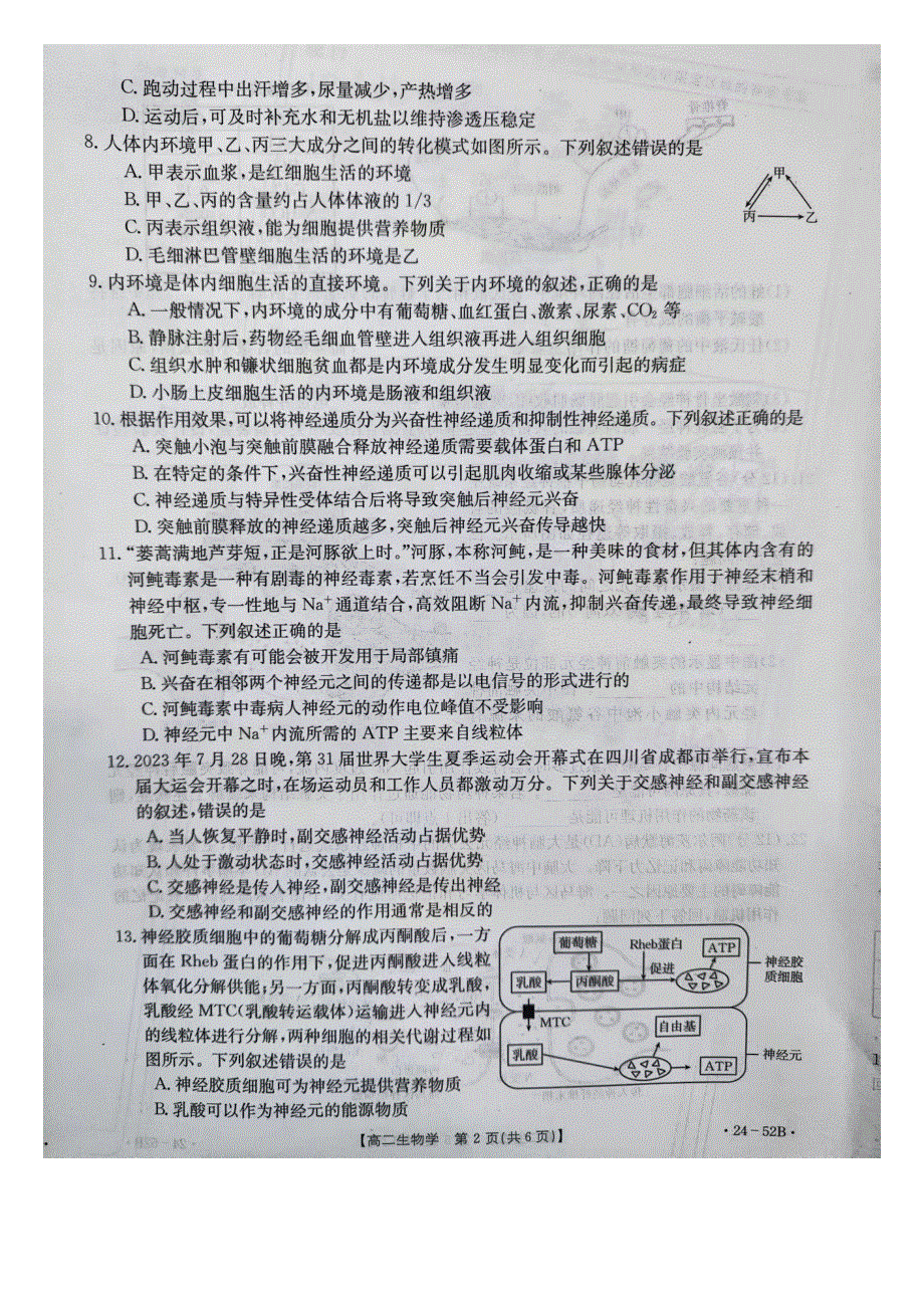 河北省邢台市五岳联盟2023-2024学年高二生物上学期第一次月考试题（pdf无答案）.pdf_第2页