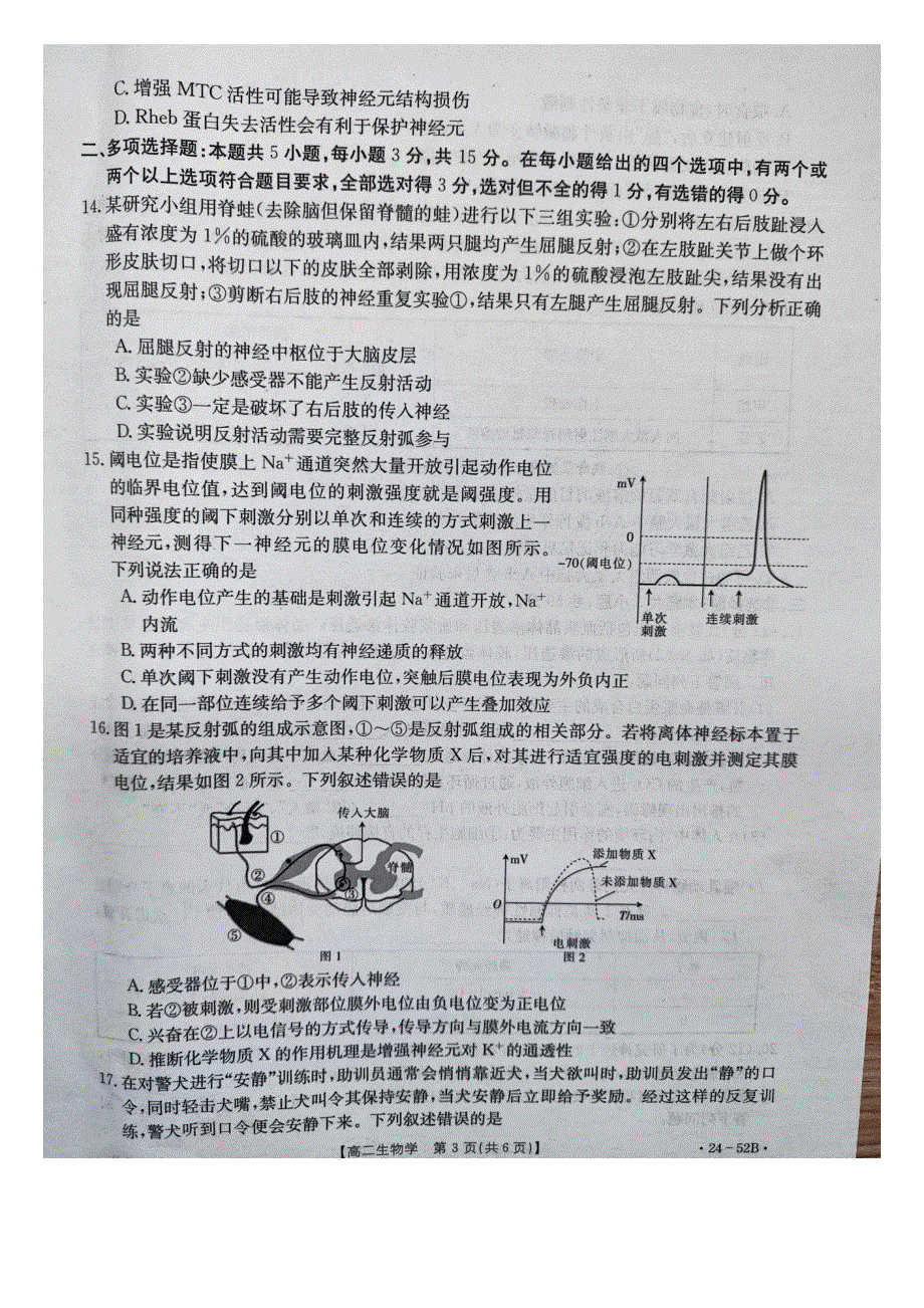 河北省邢台市五岳联盟2023-2024学年高二生物上学期第一次月考试题（pdf无答案）.pdf_第3页