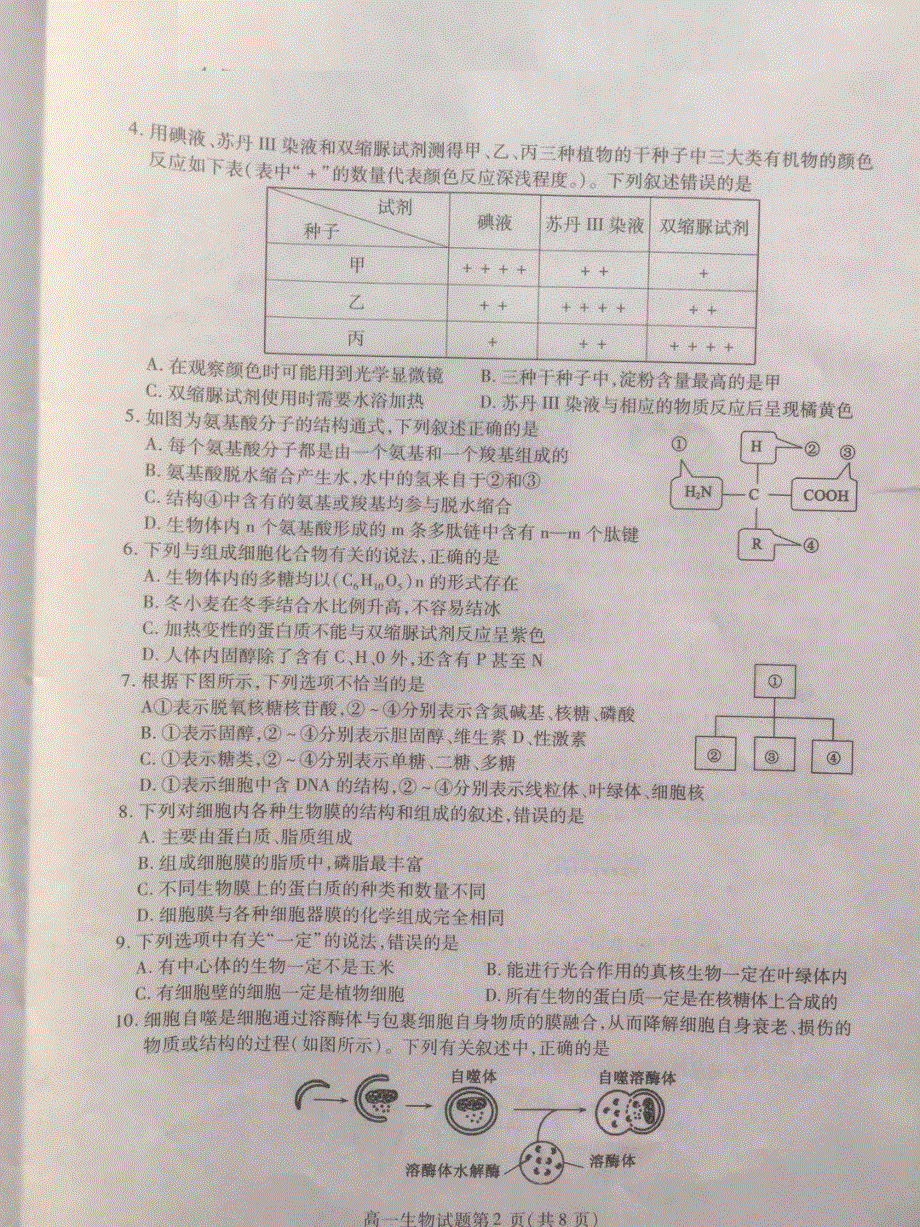 山东临朐县实验中学2020-2021学年高一上学期期中考试生物试卷 扫描版含答案.pdf_第2页