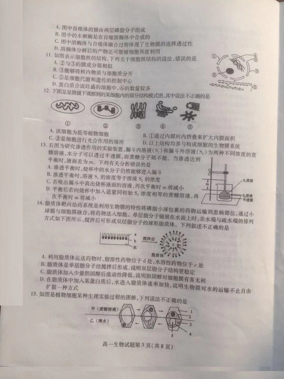 山东临朐县实验中学2020-2021学年高一上学期期中考试生物试卷 扫描版含答案.pdf_第3页