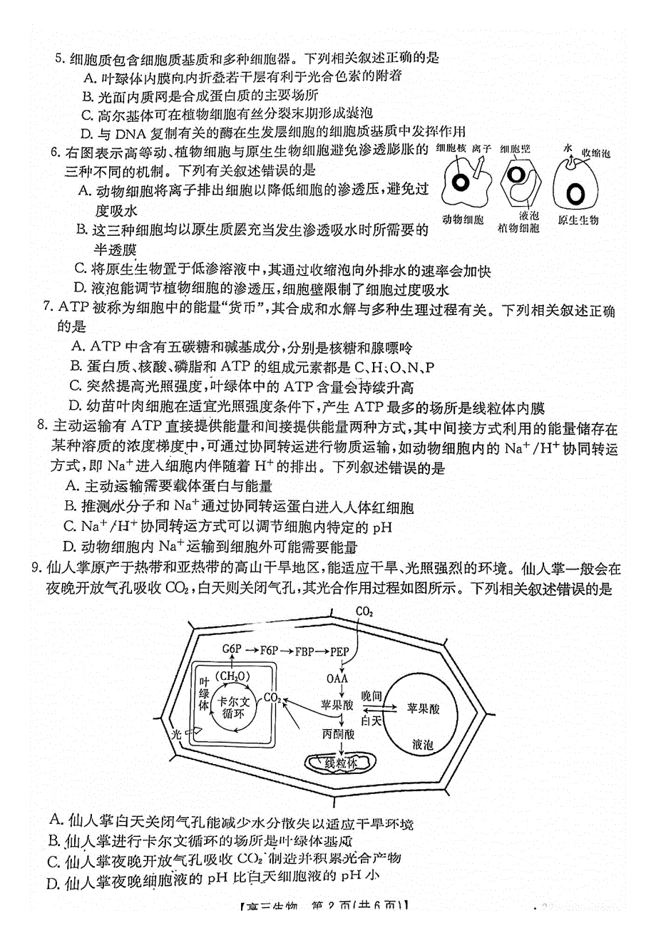 福建省南平市2022届高三上学期10月联考生物试题 PDF版含答案.pdf_第2页